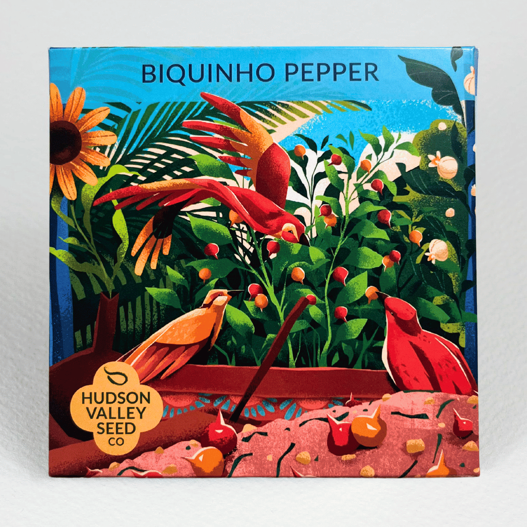 Biquinho Pepper Mix  Seeds