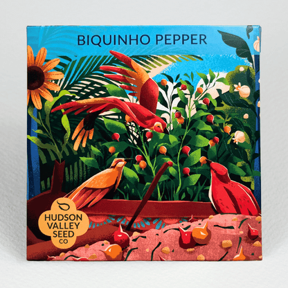 Biquinho Pepper Mix  Seeds