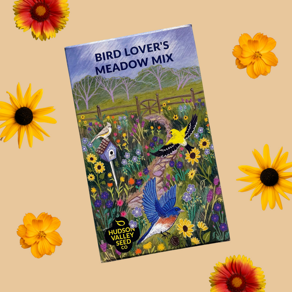 Bird Lover's Meadow Wildflower Seed Shaker Kit – Hudson Valley