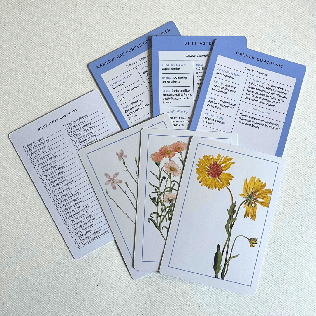 New York Botanical Garden Wildflower Flashcards