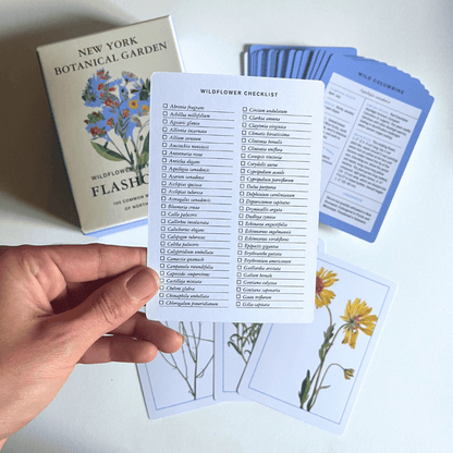 New York Botanical Garden Wildflower Flashcards