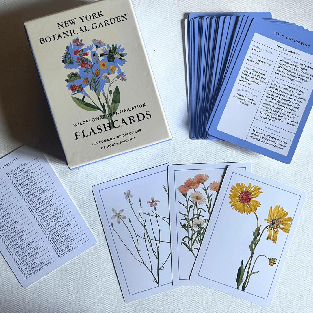 New York Botanical Garden Wildflower Flashcards