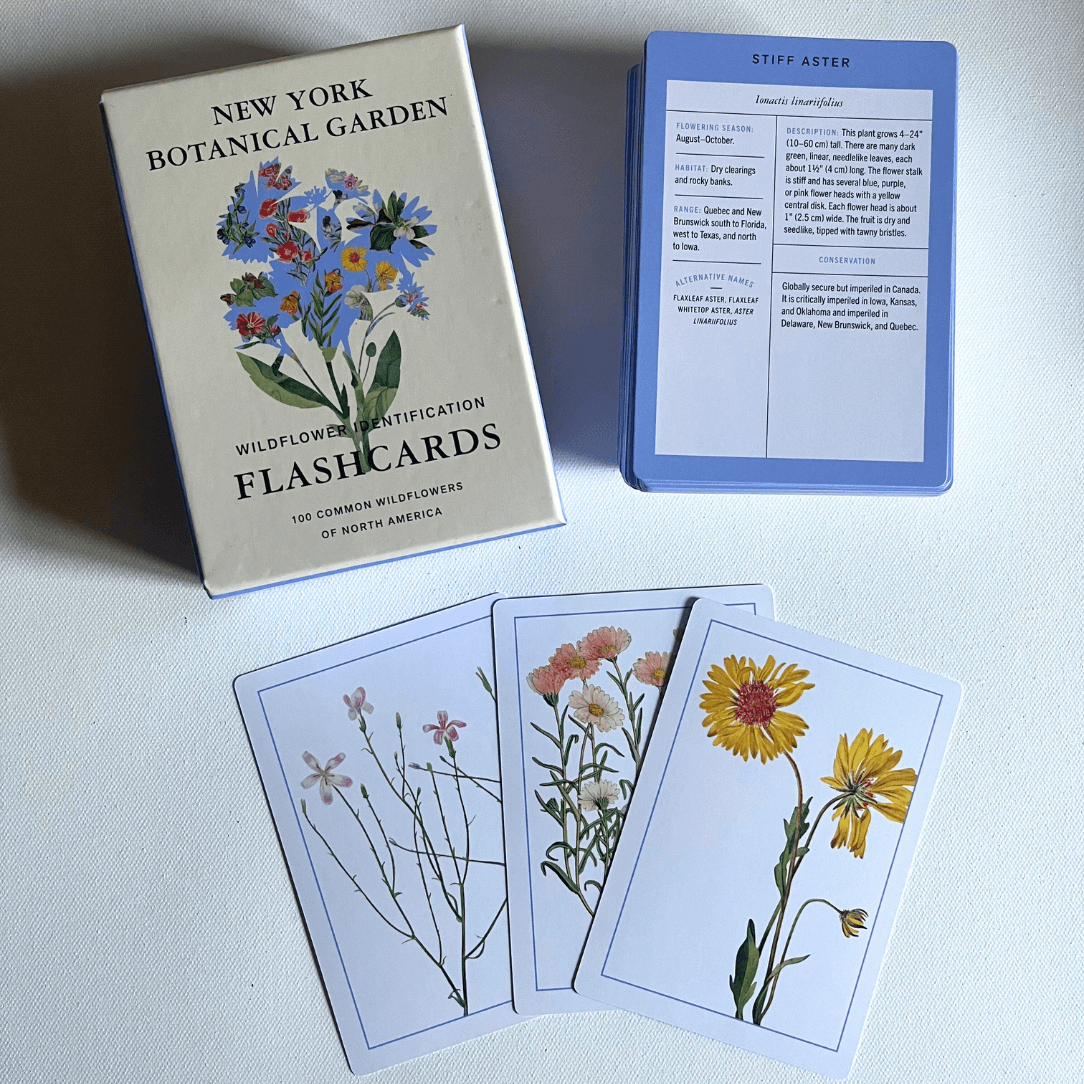 New York Botanical Garden Wildflower Flashcards