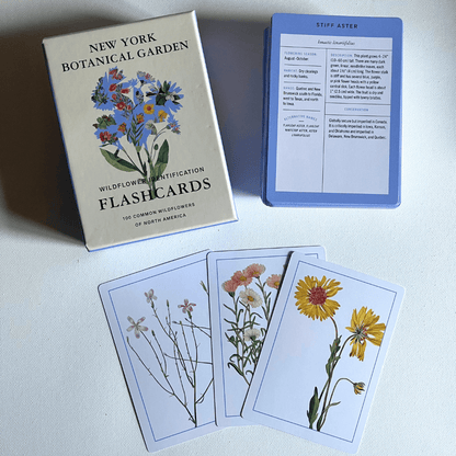 New York Botanical Garden Wildflower Flashcards