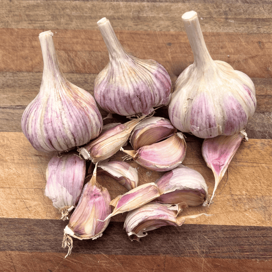 Chesnok Red Hardneck Garlic vendor-unknown