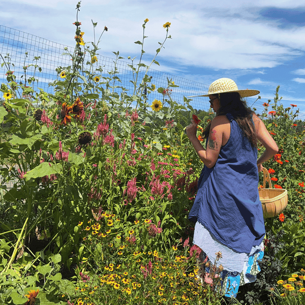 cottage garden seed collection Cottage Garden Seeds Mix