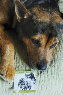 Kale with his pack of kale seeds. (Freeman photo by Tania Barricklo)