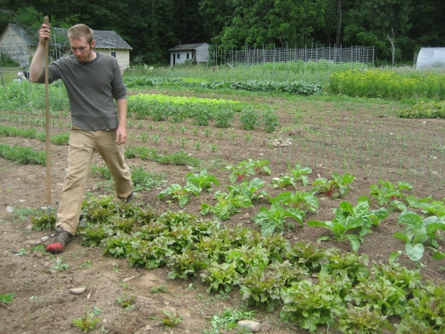 Doug walking with a collinear hoe. (Note the red duct tape holding his shoe together.)