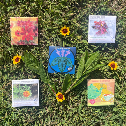 the seed plant company Dye Garden Seed Set