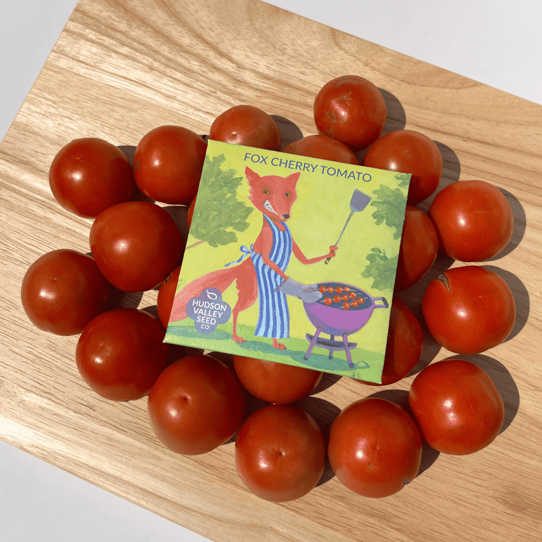 Fox Cherry Tomato