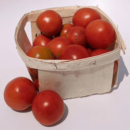 Fox Cherry Tomato