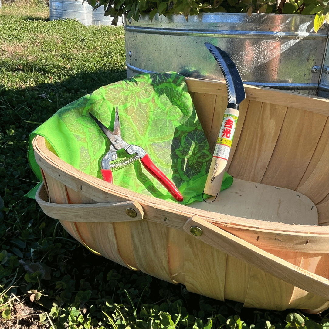 Harvest Basket Bundle