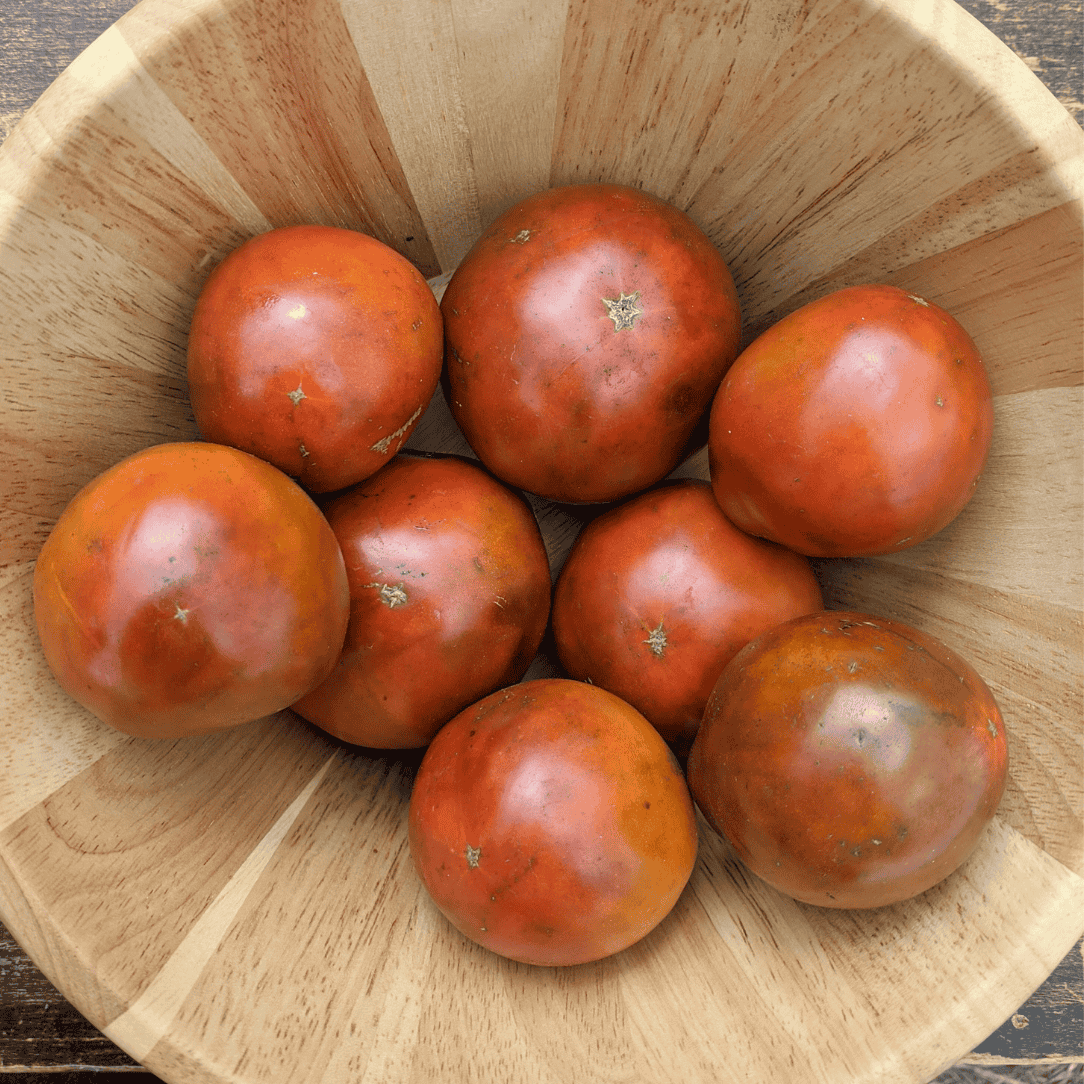 Japanese Black Trifele Tomato