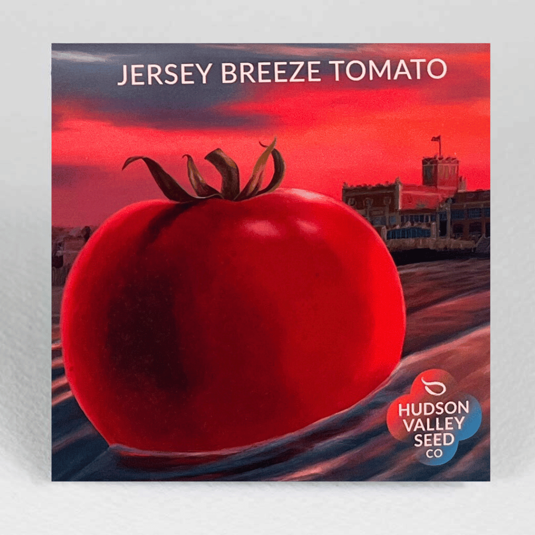 Hudson Valley Seed Co. Jersey Breeze Tomato - Thumbnail 2