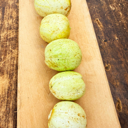 Lemon Cucumber