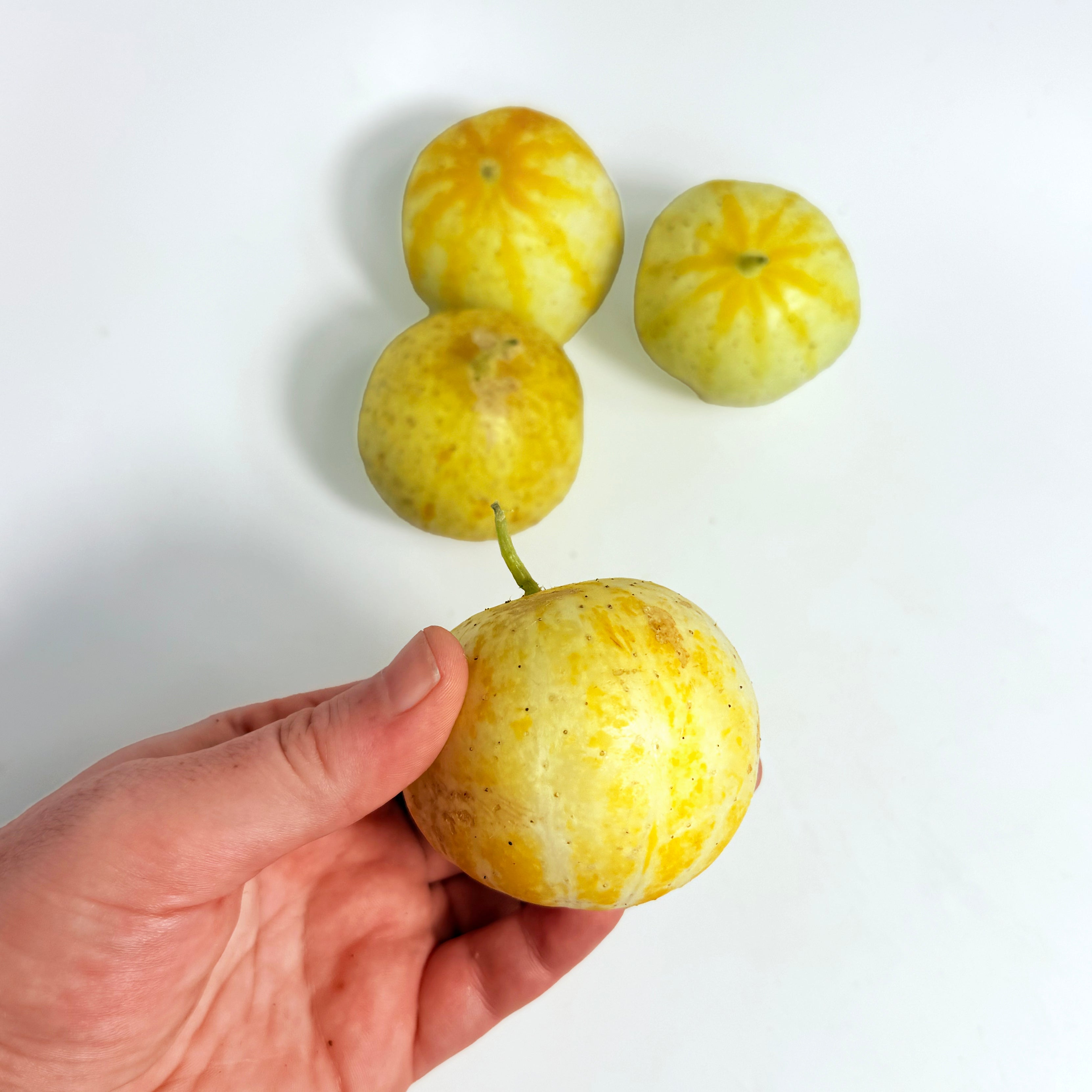 Lemon Cucumber
