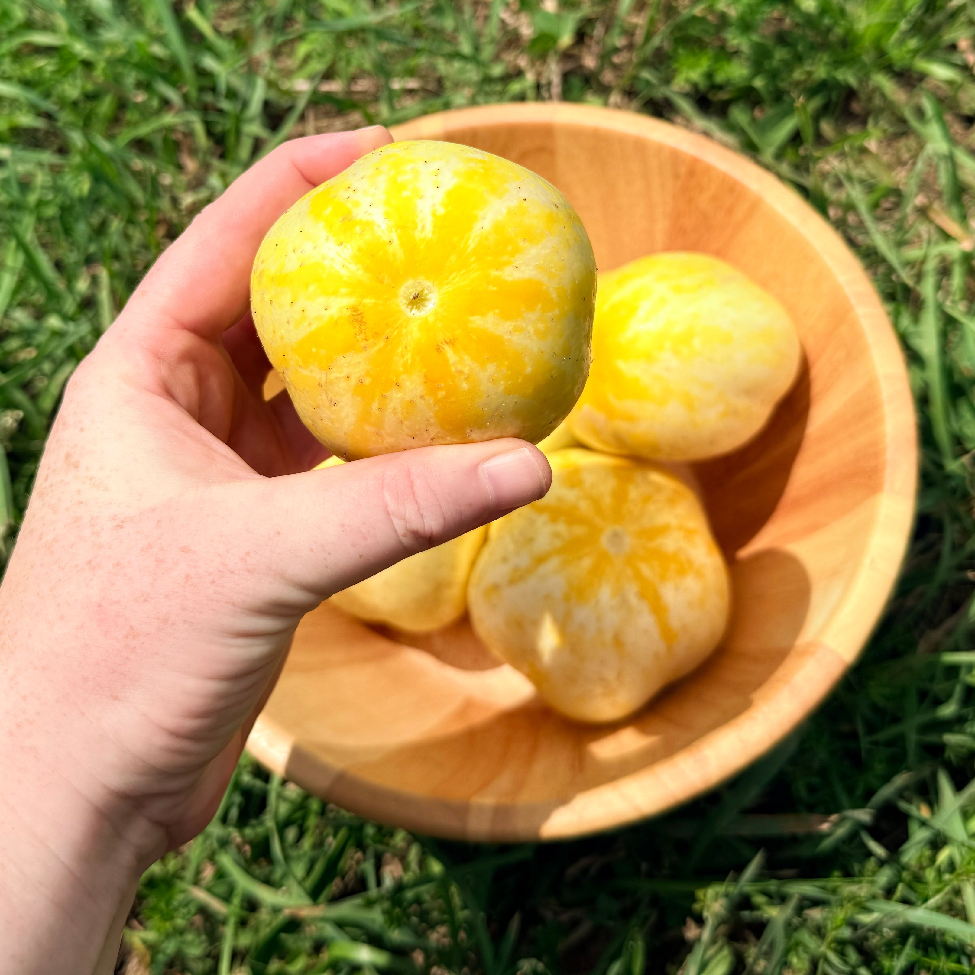 Lemon Cucumber
