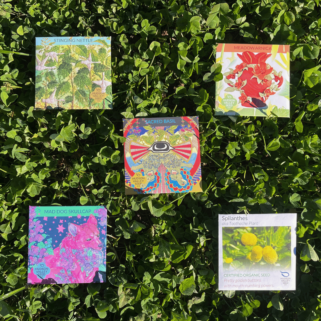 Medicinal Herbs Starter Kit