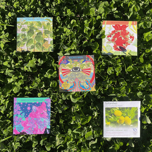 Medicinal Herbs Starter Kit | Hudson Valley Seed Company