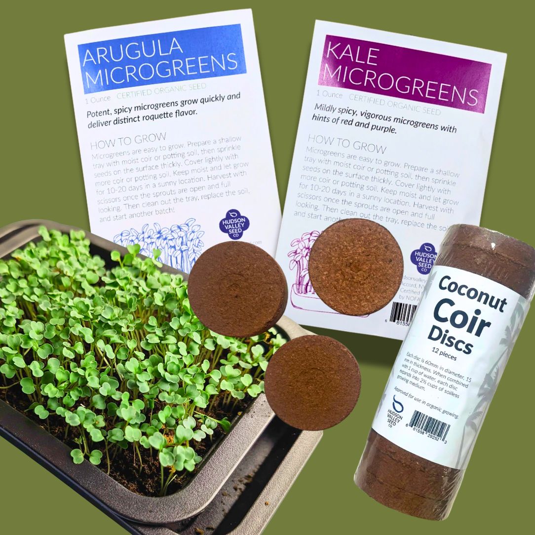 Microgreens Starter Kit