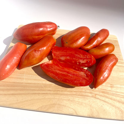 Opalka Tomato