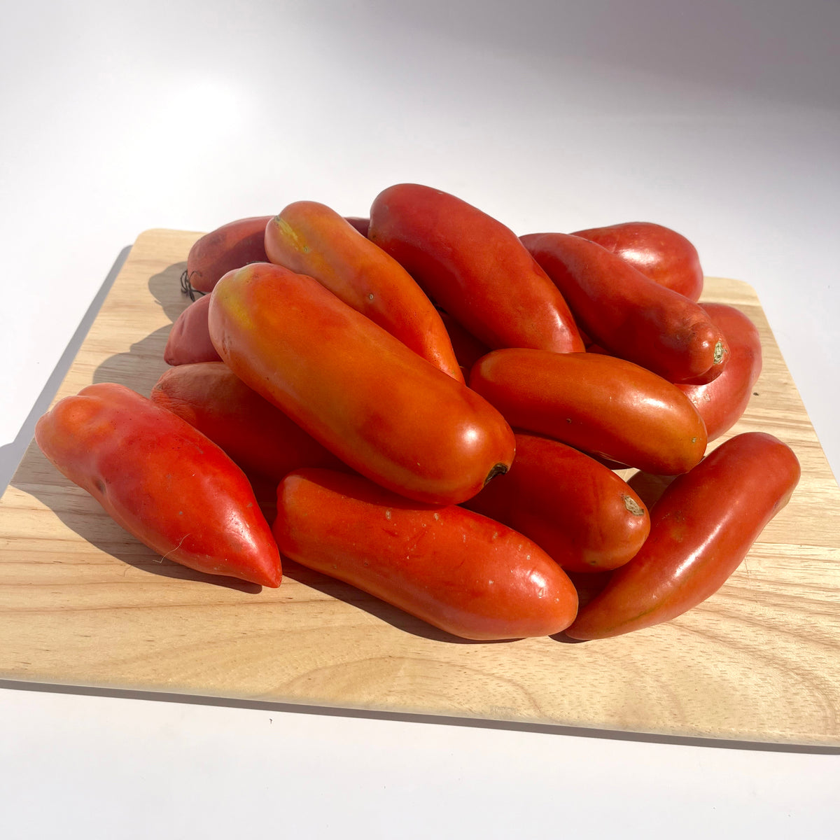 Opalka Tomato
