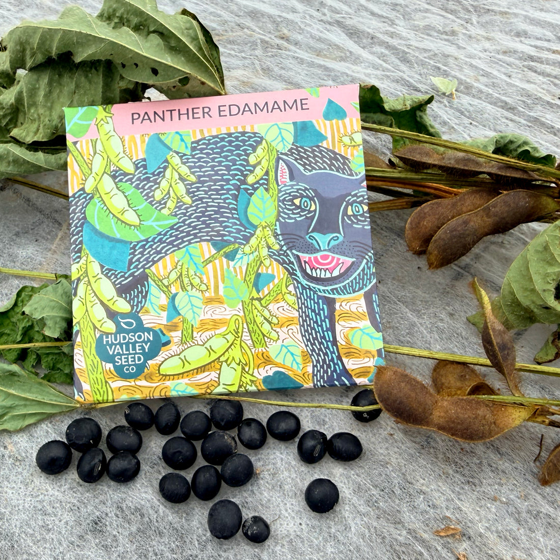 Panther Edamame Soybean