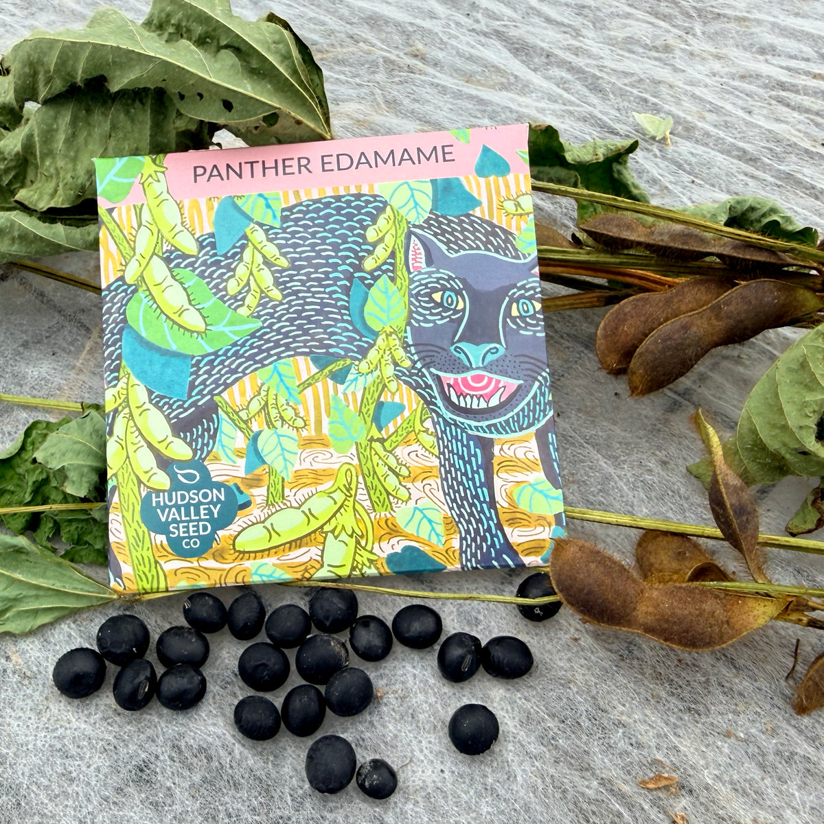 Panther Edamame Soybean