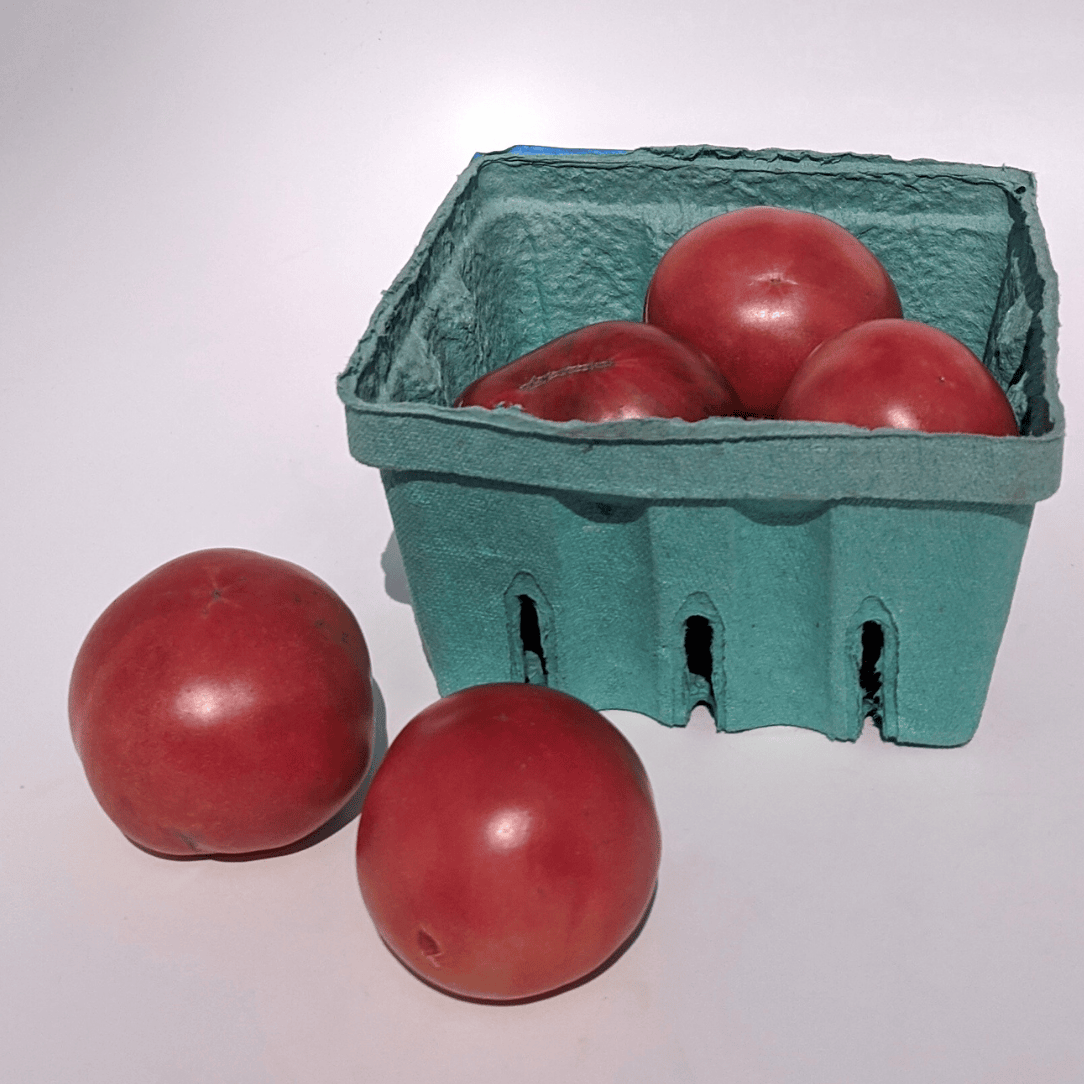 Pink Ping Pong Tomato