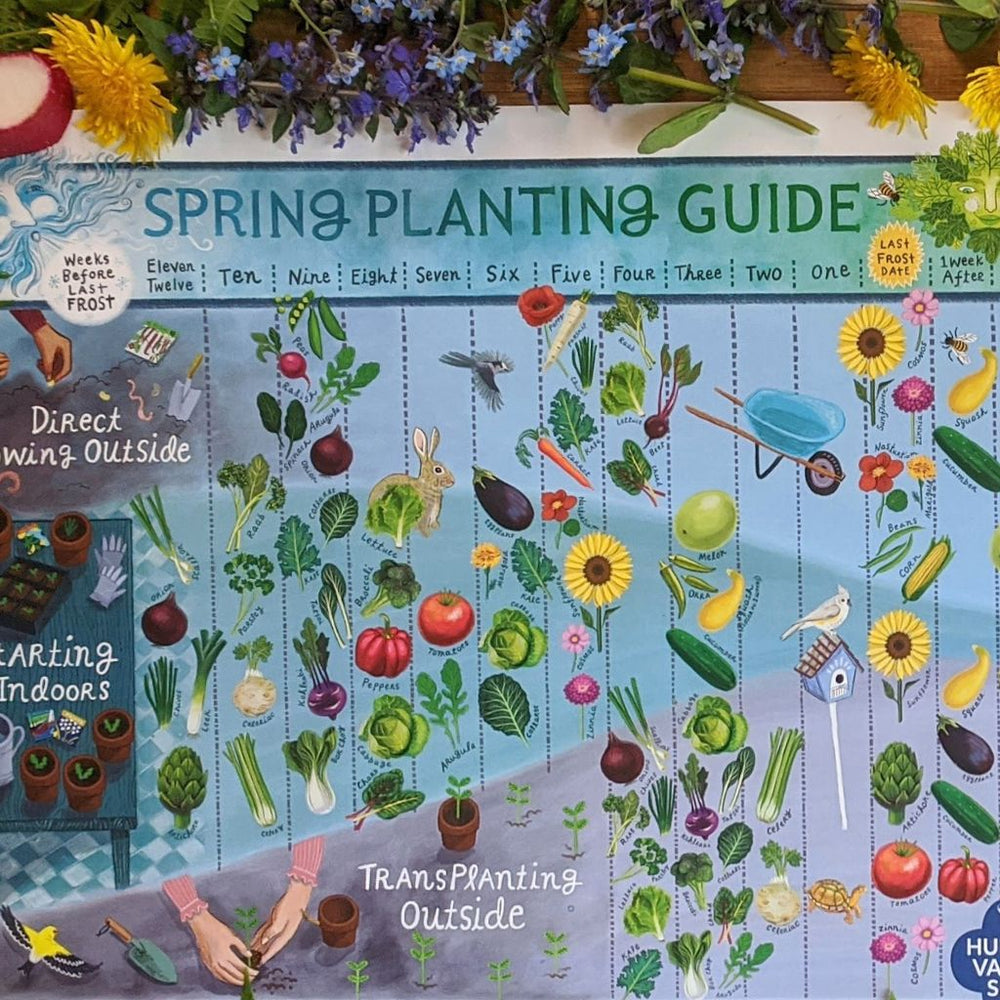 Pattison Planting Guide.pdf Resource Page – Hudson Valley Seed Company