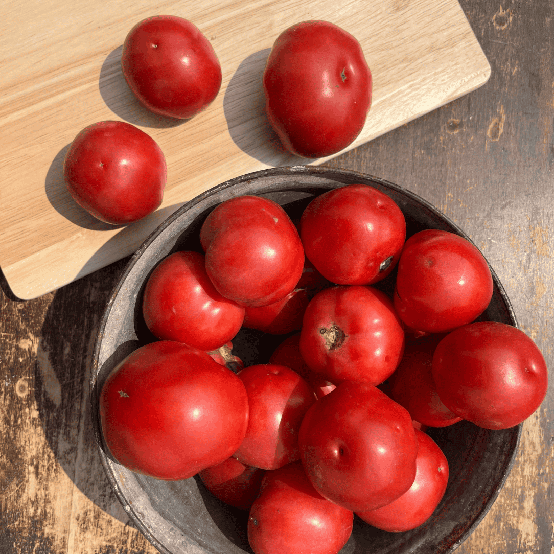 Plate de Haiti Tomato