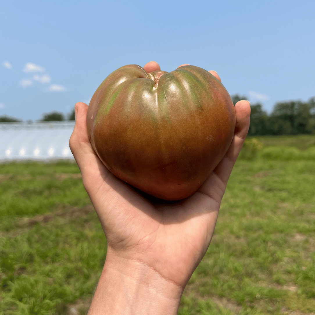 Purple Heart Tomato