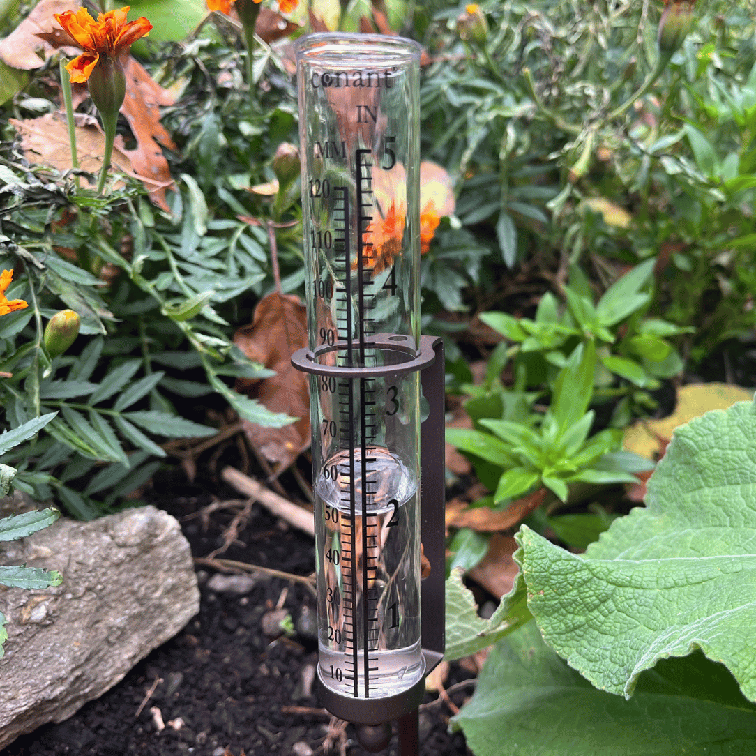 Rain Gauge Bronze