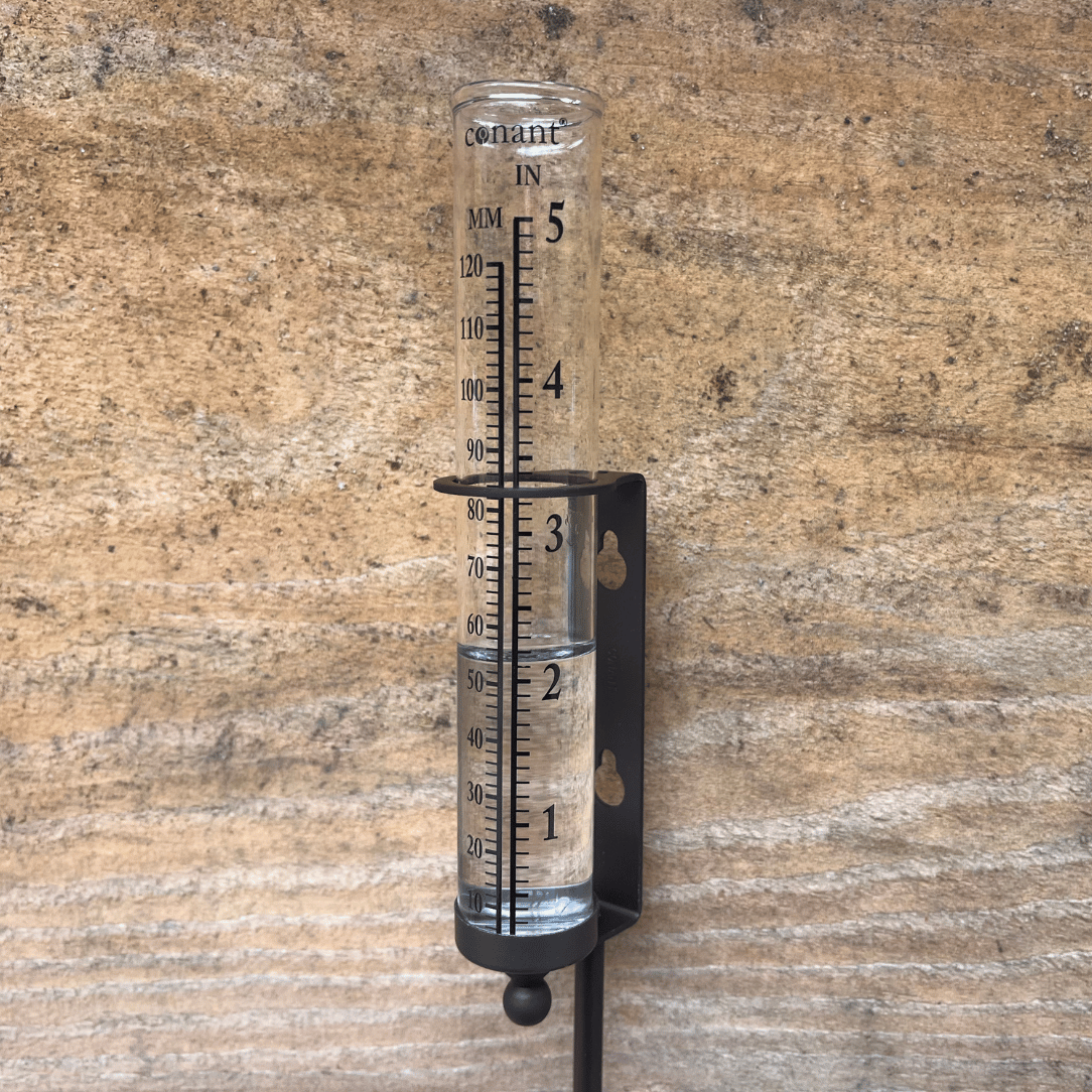 Rain Gauge Bronze