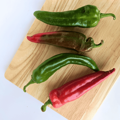 NuMex Joe E Parker Hatch Chile Seedlings