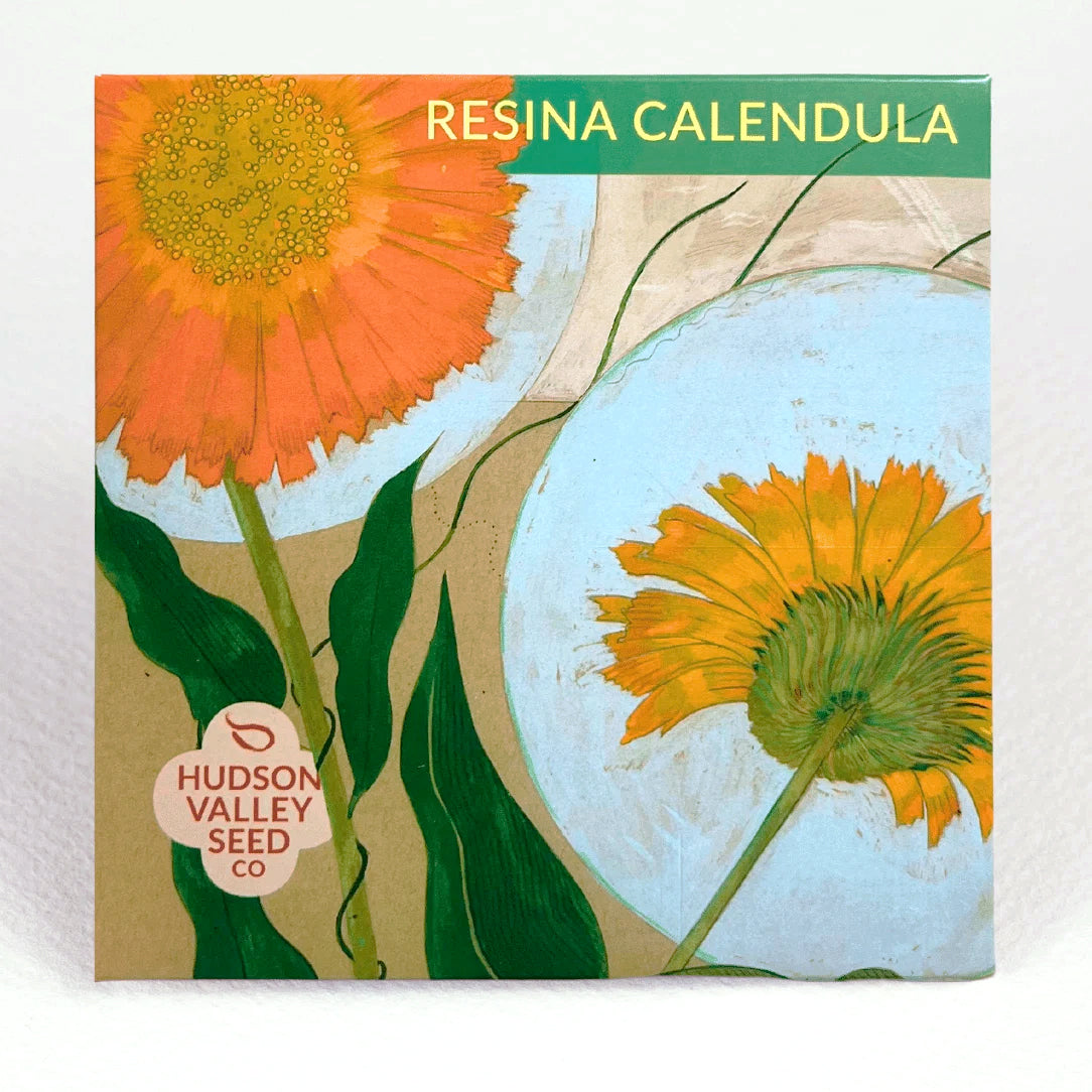 アウガルテン/ペンダント/クロス/忘れな草 Resina Calendula | Hudson Valley Seed Company