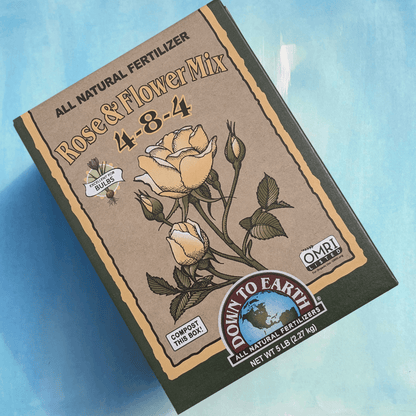 seeds & bulbs rose Rose & Flower Mix