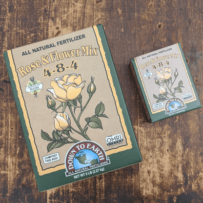seeds & bulbs rose Rose & Flower Mix
