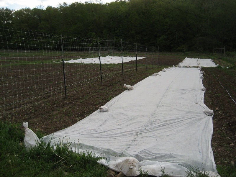 row cover on farm