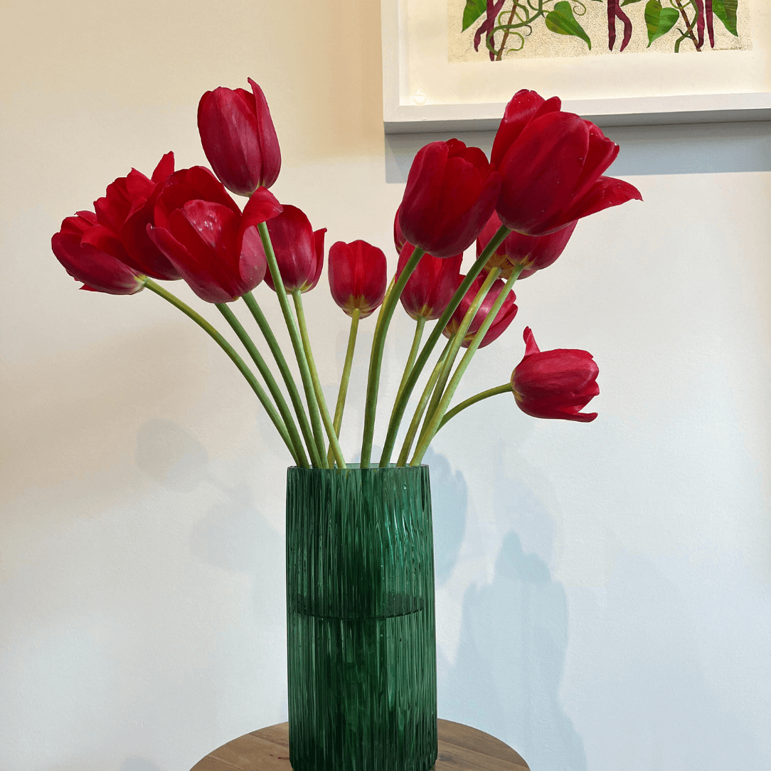 Tulip &