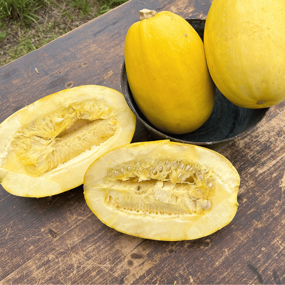 Spaghetti Squash