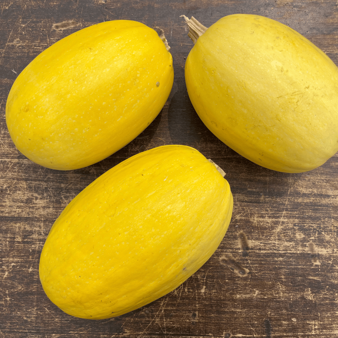 Spaghetti Squash