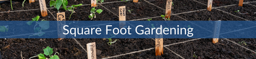 square foot gardening.png__PID:aa51b0b7-66c5-485c-9e8e-8fb975802b0a