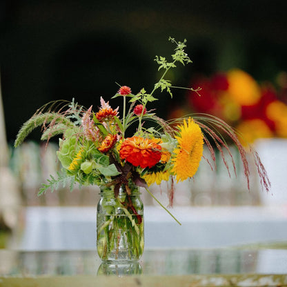 Virtual Class - Ask the Experts: Cut Flower Gardens with Stars of the Meadow Farm