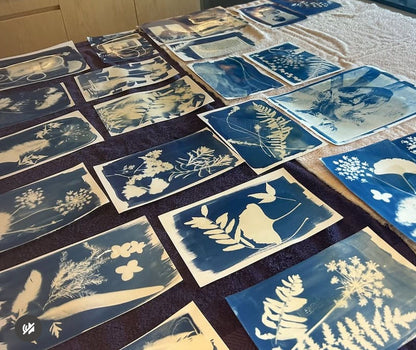Introduction to Cyanotype with Chris Losee - 6/13 - 10:30 AM