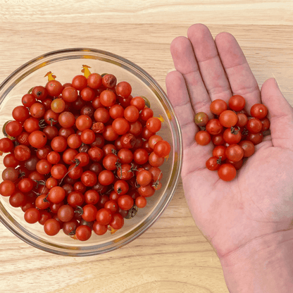 Sweet Pea Currant Tomato