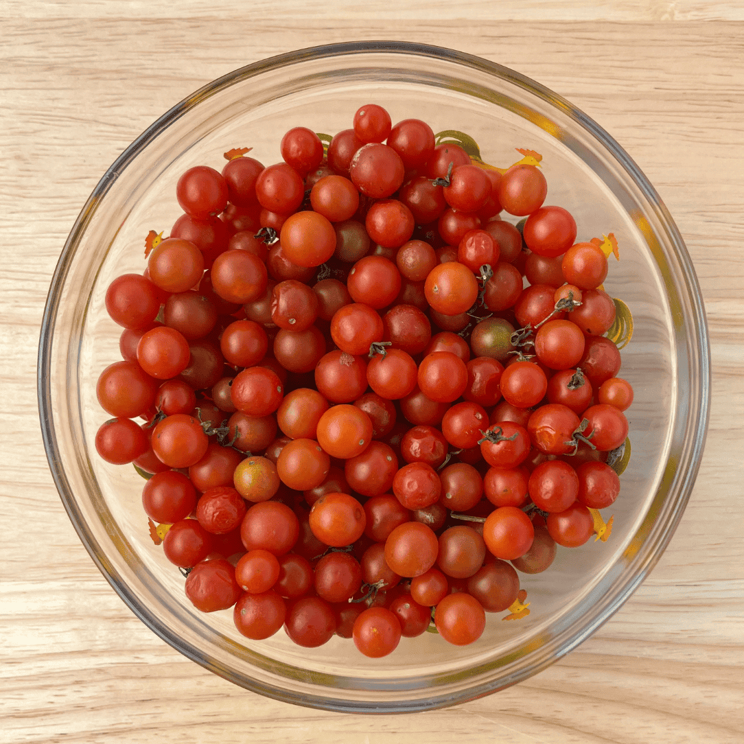 Sweet Pea Currant Tomato Seedlings