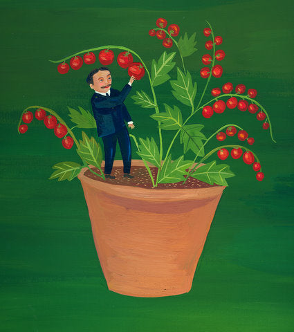 Tiny Tim Tomato original by Giselle Potter