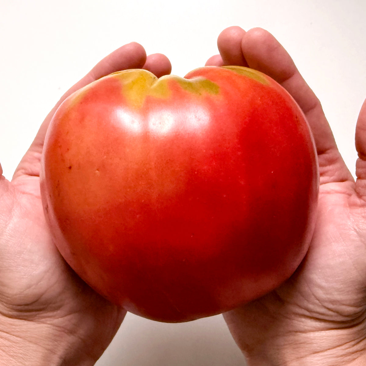 Upstate Oxheart Tomato