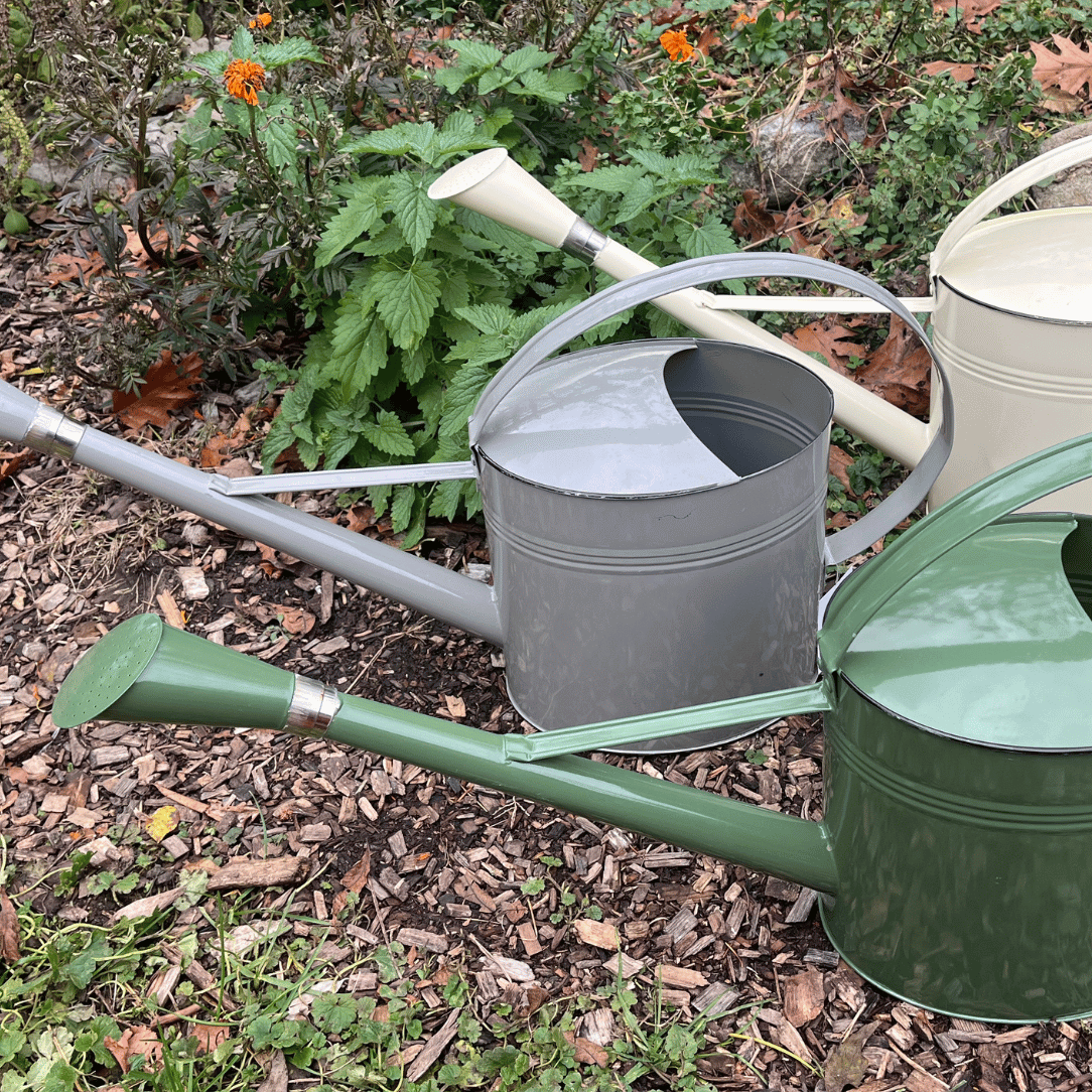 Watering Can Metal